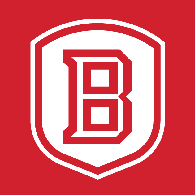 Bradley Braves 2012-Pres Secondary Logo v3 diy iron on heat transfer